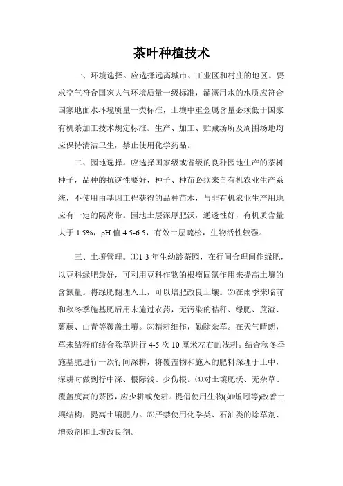 茶叶种植技术