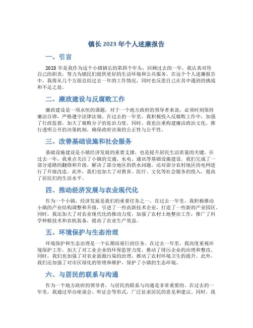 镇长2023年个人述廉报告