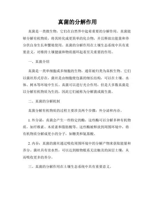 真菌的分解作用