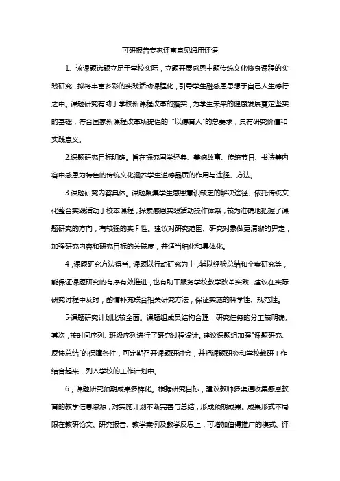 可研报告专家评审意见通用评语