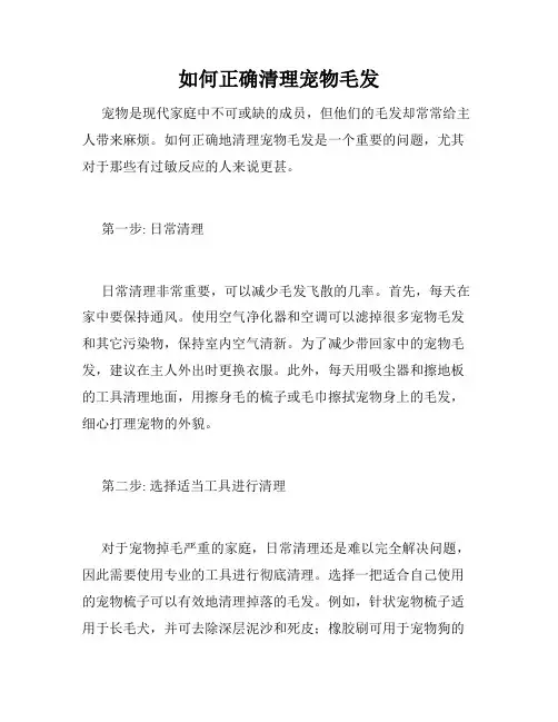 如何正确清理宠物毛发