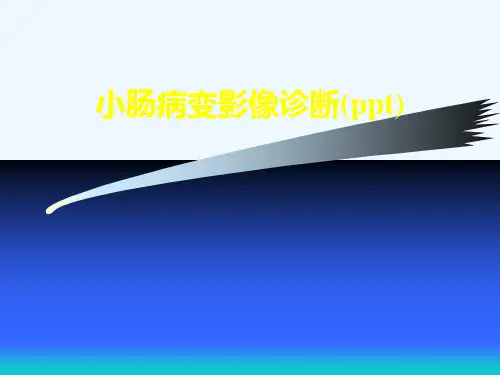小肠病变影像诊断(ppt)