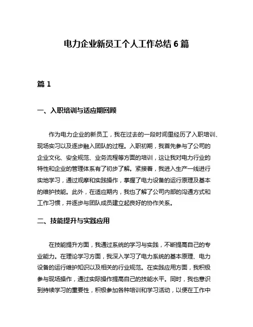 电力企业新员工个人工作总结6篇