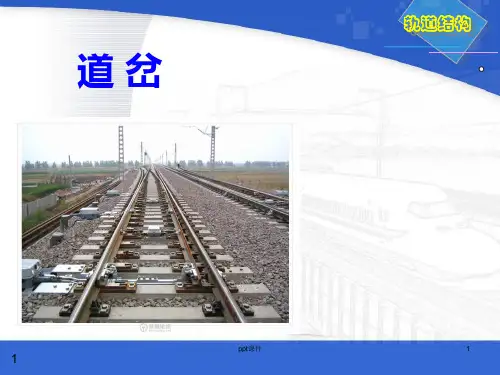 轨道工程-道岔  ppt课件