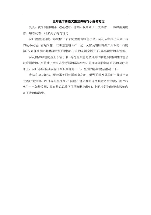 三年级下册语文第三课荷花小练笔范文
