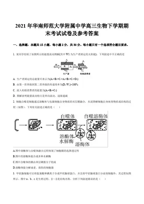 2021年华南师范大学附属中学高三生物下学期期末考试试卷及参考答案
