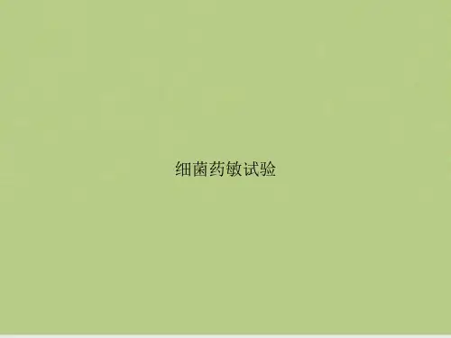 细菌药敏试验