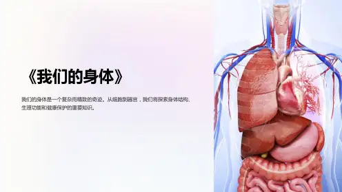 《我们的身体》课件