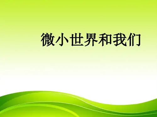 最新教科版六年级下册科学精品课件第一单元8、《微小世界和我们》ppt