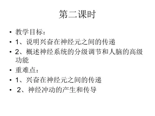 通过神经系统的调节的第二课时课件