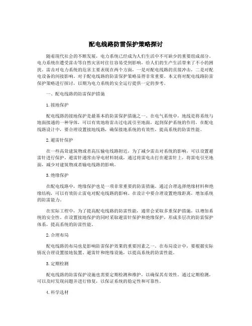 配电线路防雷保护策略探讨