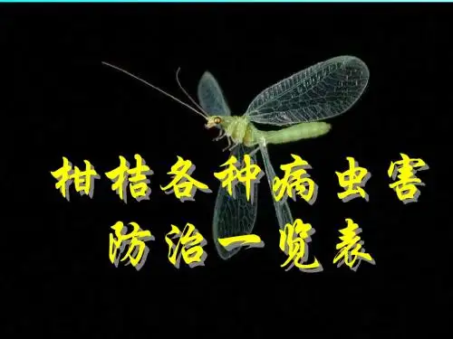 柑橘栽培新技术培训经典