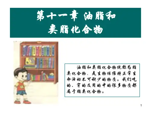 脂类化合物