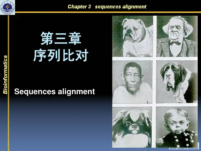第3章序列比对[1]