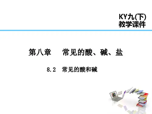 8.2 常见的酸和碱