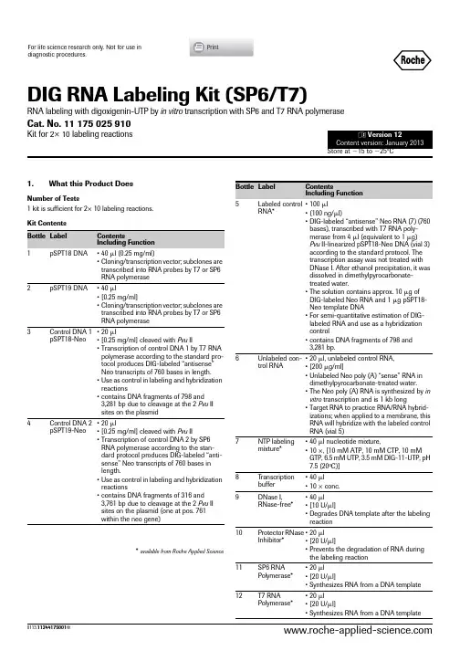 dig RNA labeling kit 罗氏
