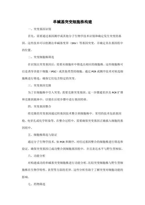 单碱基突变细胞株构建