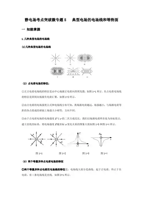 专题5 典型电场的电场线 等势面-2021年高考物理静电场