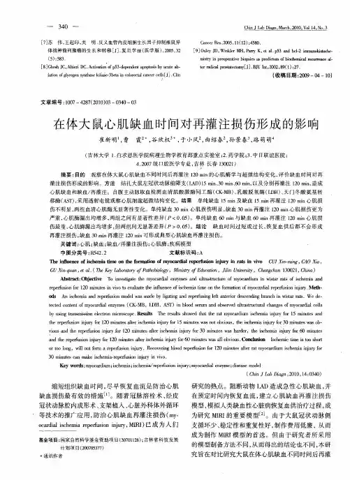 在体大鼠心肌缺血时间对再灌注损伤形成的影响