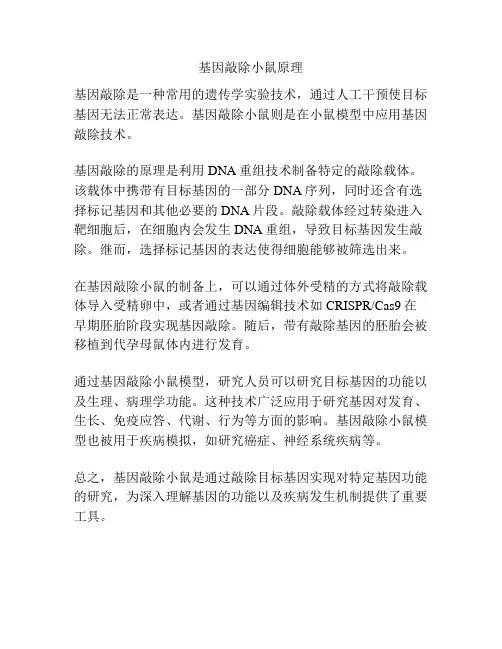 基因敲除小鼠原理