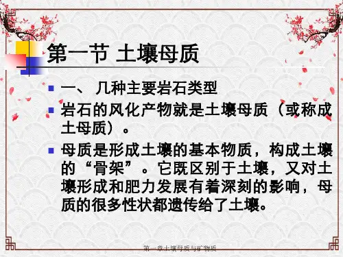第一章土壤母质与矿物质