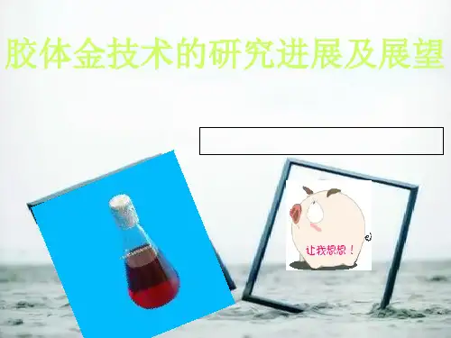 胶体金技术的应用及展望PPT课件