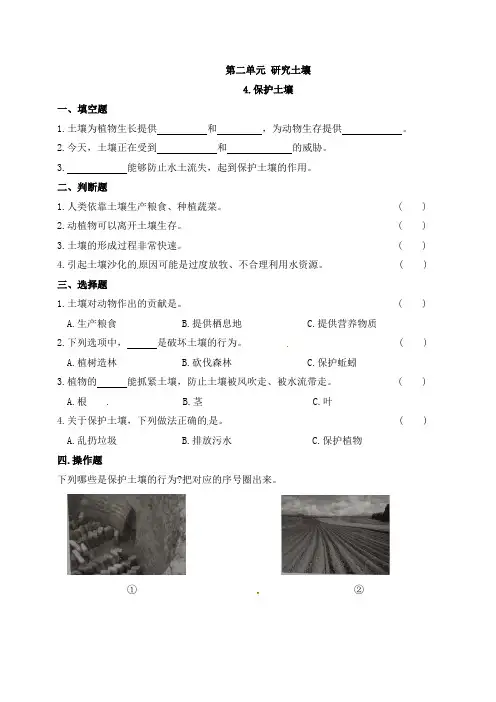 苏教版科学三年级上册一课一练_7保护土壤(含答案)