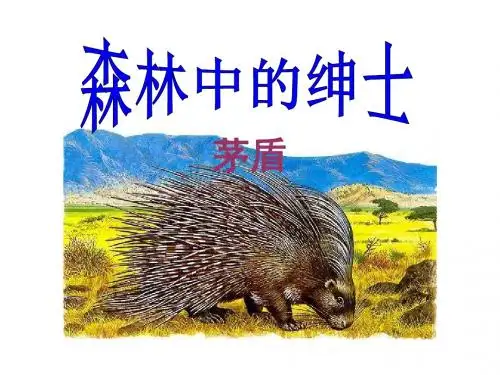《森林中的绅士》PPT课件3 (共15张PPT)