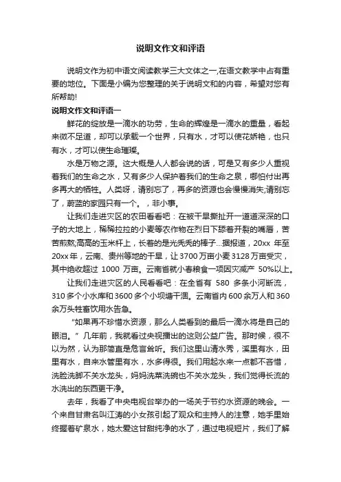说明文作文和评语