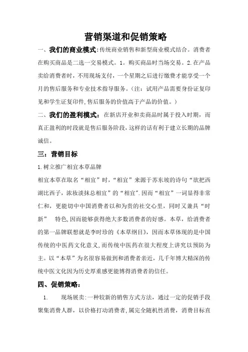 营销渠道和促销策略