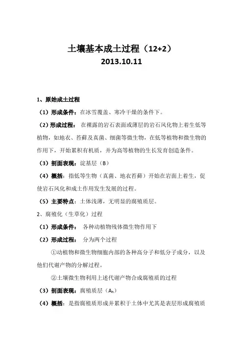 土壤成土过程-2013.10.11