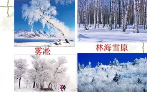 东北地区的地理位置与自然环境 (1)