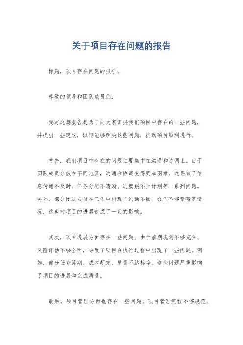 关于项目存在问题的报告