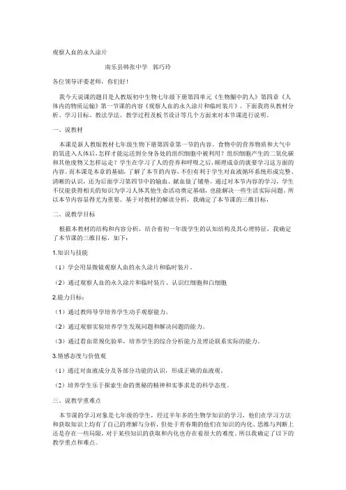 观察人血的永久涂片
