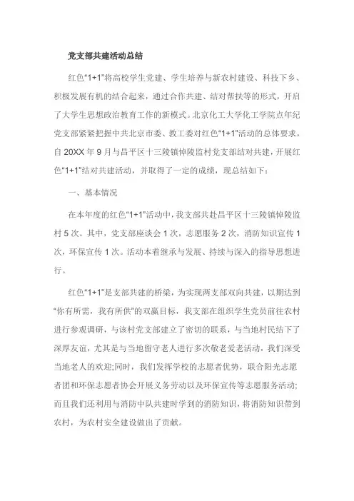 党支部共建活动总结