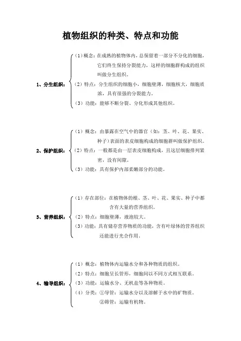 植物组织的种类、特点和功能