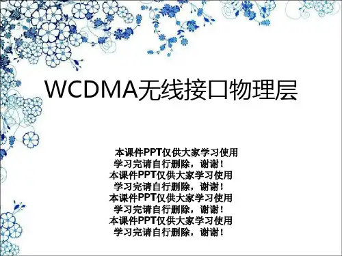 WCDMA无线接口物理层