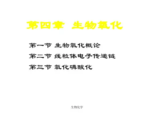 生物化学 ppt课件