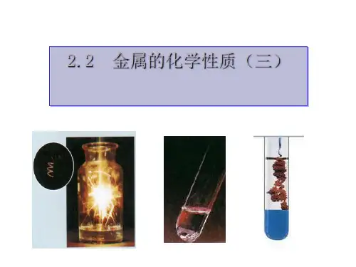 九年级上《金属的化学性质》PPT实用课件浙教版1