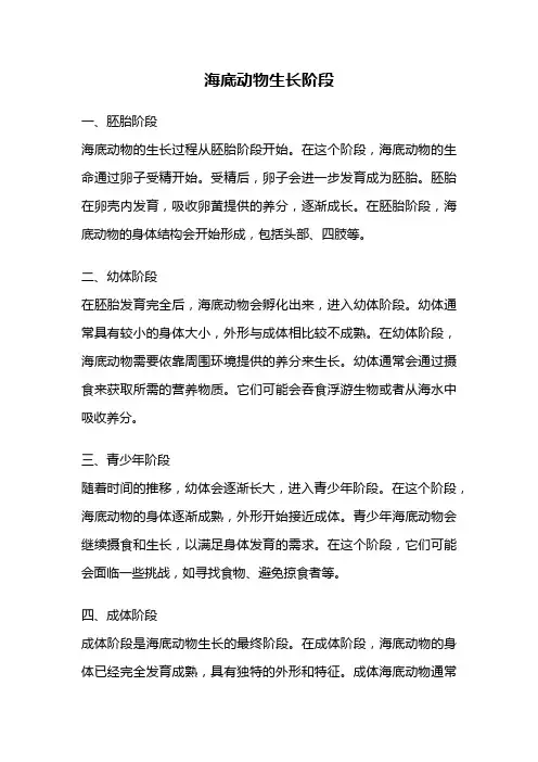 海底动物生长阶段