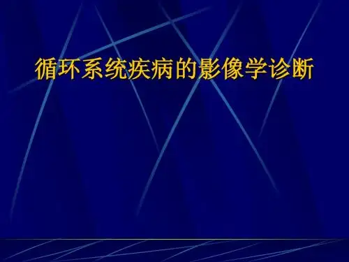 3 心脏与大血管七年制双语2012