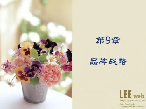 【精品】品牌战略PPT课件-42页PPT资料
