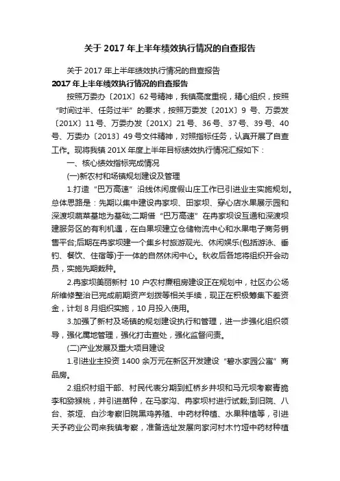 关于2017年上半年绩效执行情况的自查报告