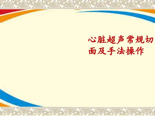 心脏超声常规切面及手法操作