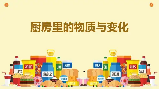 《厨房里的物质与变化》PPT教学课件