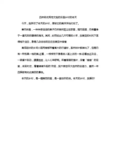 四年级优秀范文我的乐园乡村的冬天
