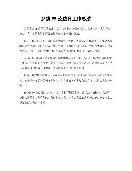 乡镇99公益日工作总结