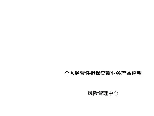 个人经营性担保贷款业务