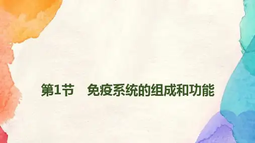 人教版(新教材)高中生物选择性必修1精品课件：4 1 免疫系统的组成和功能