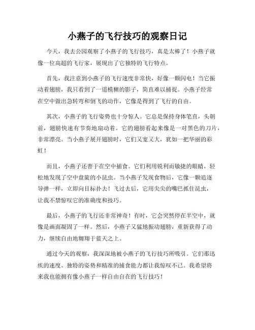 小学三年级作文小燕子的飞行技巧的观察日记